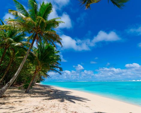 Mit der VASCO DA GAMA ab/an Hamburg-1