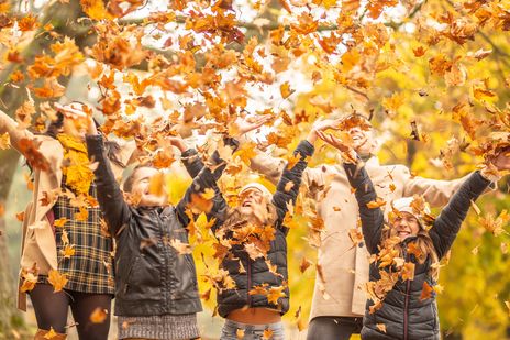 Kinder schmeißen buntes Laub in die Luft und haben Spaß