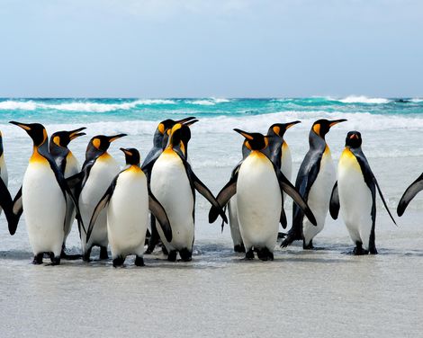 Kreuzfahrt mit der Majestic Princess von Santiago de Chile bis Buenos Aires