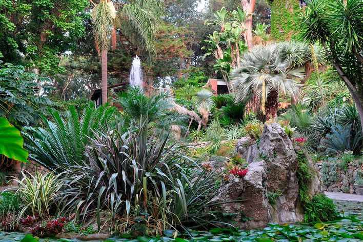 Botanischer Garten