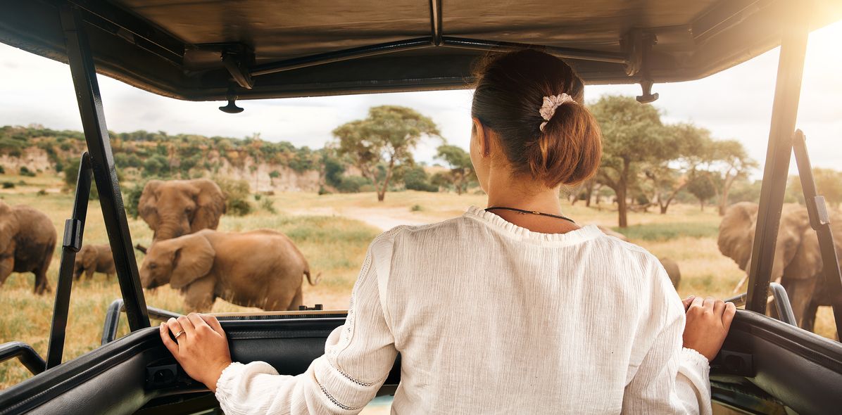 Frau im Allrad während einer Safari und sieht Elefanten