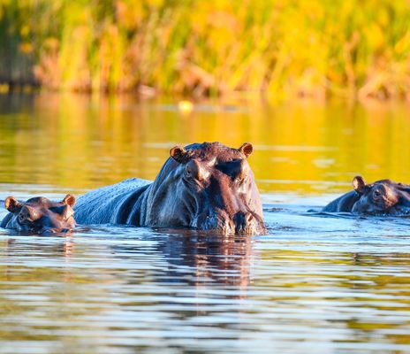 Namibia, Botswana & Simbabwe
