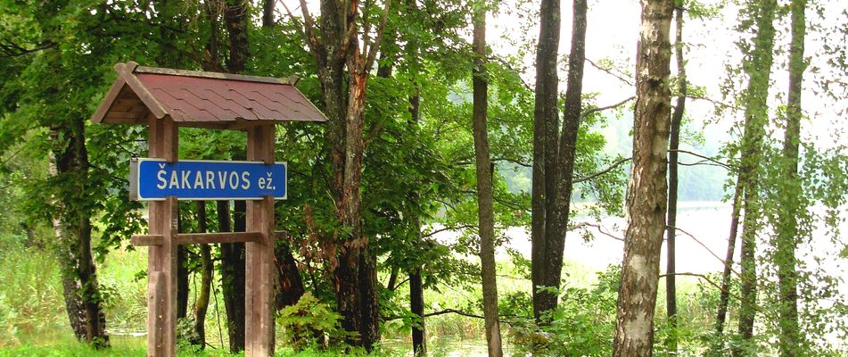 Wegweiser im Nationalpark Aukštaitija umgeben von dichtem Wald in Litauen