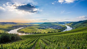 Blick auf die Mosel