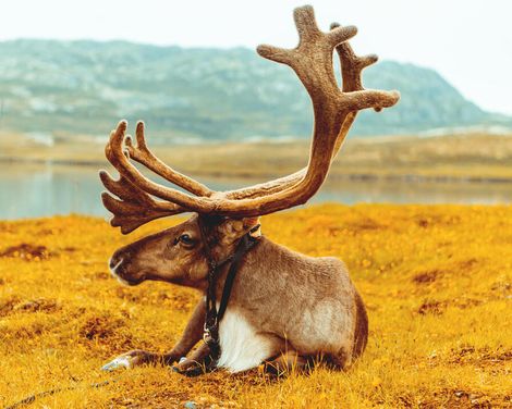 Kreuzfahrt mit der Costa Favolosa ab/an Hamburg-2