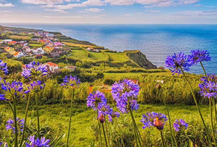 Blumen und Küste einer Azoreninsel