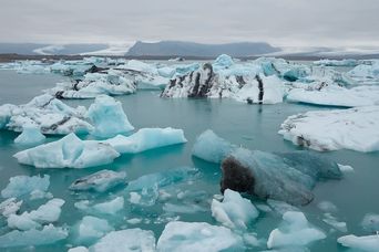 Pinguine auf Eisschollen in der Antarktis