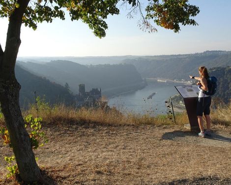 Wandern auf dem legendären Rheinsteig-0
