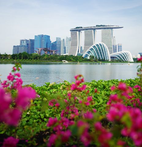 Blumenbeet im Vordergrund mit Blick auf die moderne Skyline von Singapur