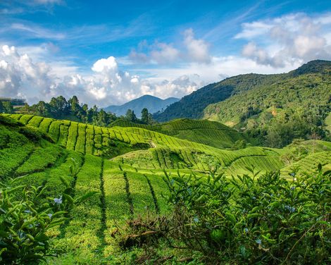 Dschungelabenteuer & Erholung am Strand im 5-Sterne-Hotel-2