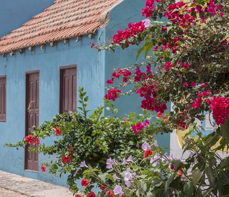 Buntes Haus auf Boa Vista