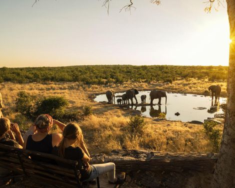 Zwischen Dünenmeer und Wildnis-3