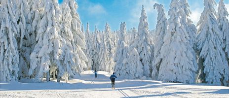 Winterlandschaft im Berchtesgadener Land