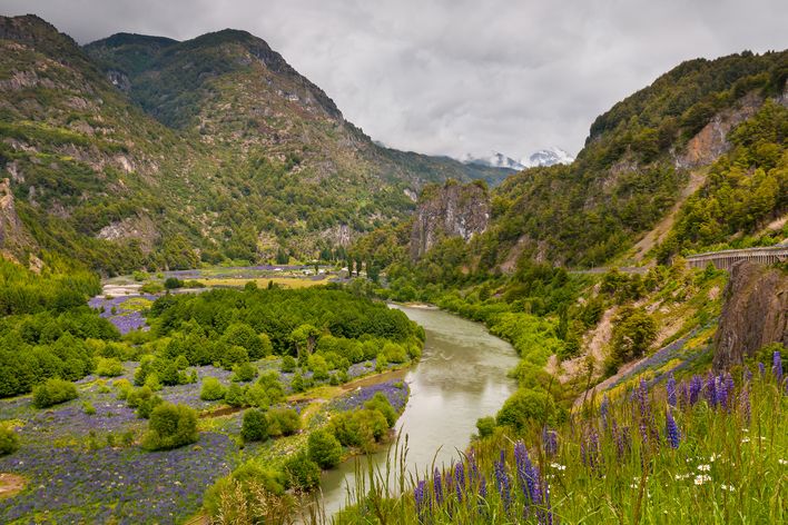 Grünes Tal mit Flusslauf im Simpson Valley im Süden Chiles