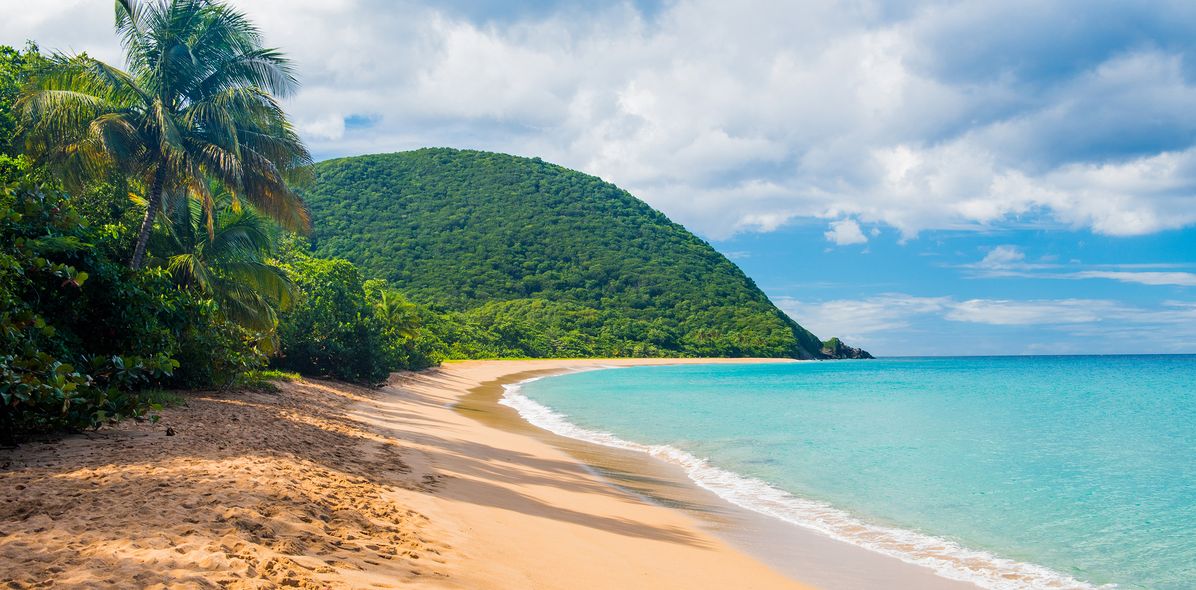 Strand von Guadeloupe