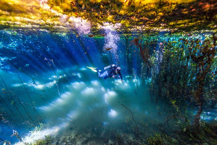 Taucher in kristallklarem Süßwasser zwischen Unterwasserpflanzen und einfallenden Sonnenstrahlen in Brasilien