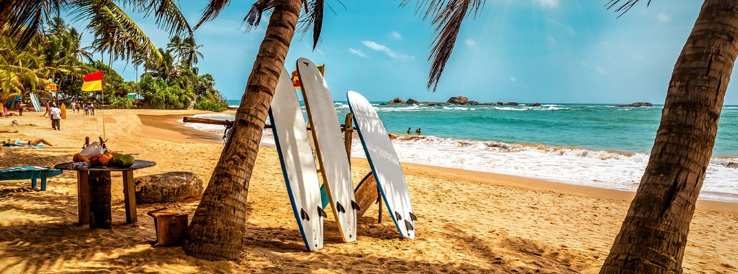 Goldener Sandstrand an der Südküste Sri Lankas mit Palmen und aufgestellten Surfbrettern am Meer