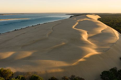 Sanddünenlandschaft an der Atlantikküste bei der Dune du Pilat in Frankreich