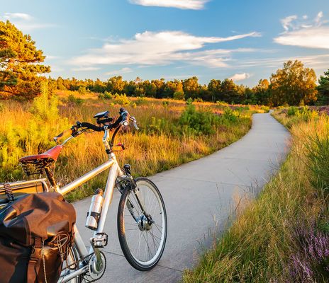 Fahrrad in der Natur