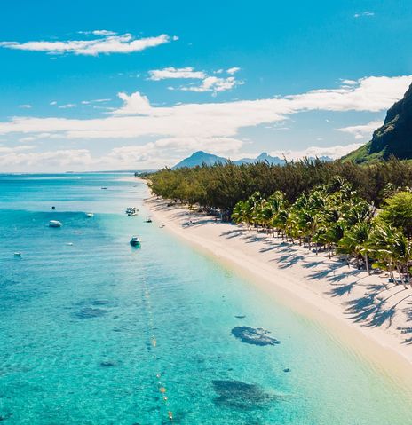 Strand auf Mauritius mit Palmen