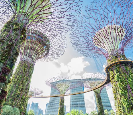 Gardens by the Bay in Singapur