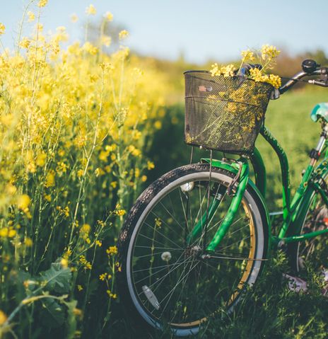 Fahrrad vor einem Rapsfeld