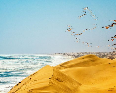 Kreuzfahrt mit AIDAprima ab Gran Canaria an Kapstadt inkl. Nachprogramm in Kapstadt-0