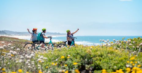 Radfahrergruppe am Meer fährt auf Küstenweg durch bunte Blumenwiese