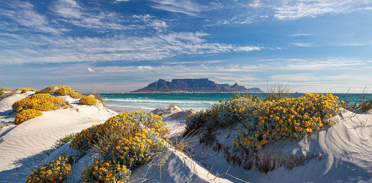 Blick auf Tafelberg in Kapstadt - im Vordergrund Sandstrand