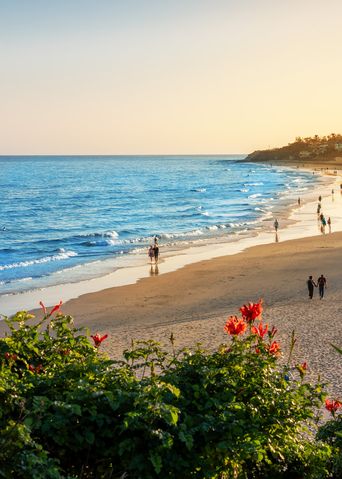 Strand auf Fuerteventura auf den Kanaren