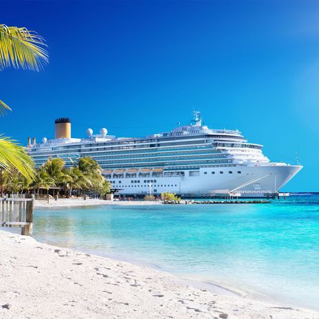 Strand mit Palme und Kreuzfahrtschiff