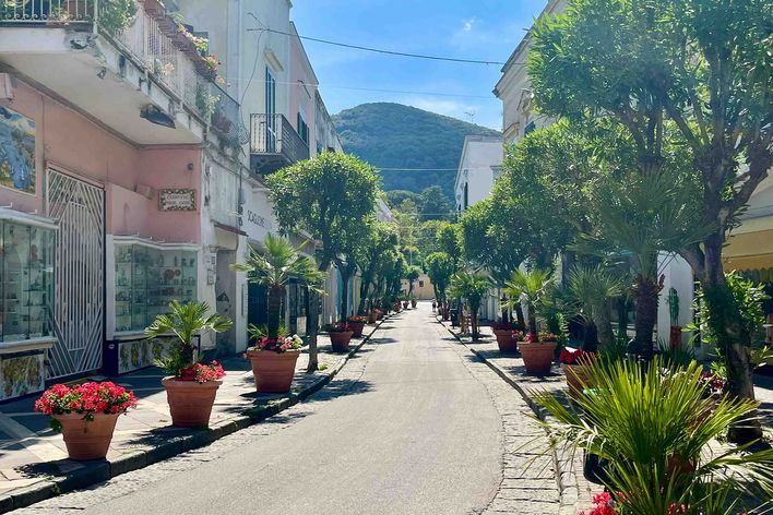 Blick auf Ischia-Straße mit vielen bäumen und Pflanzen.