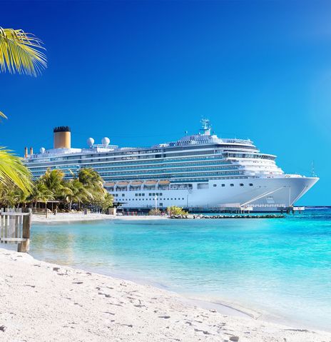 Strand mit Palme und Kreuzfahrtschiff