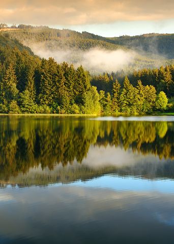 Landschaft im Harz