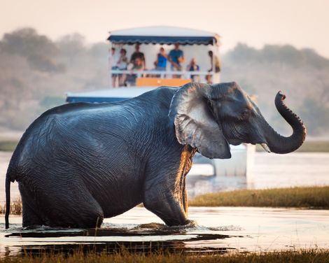 Traumhafte Tierwelt, Naturwunder & Kapstadt im 4-Sterne-Hotel genießen-2