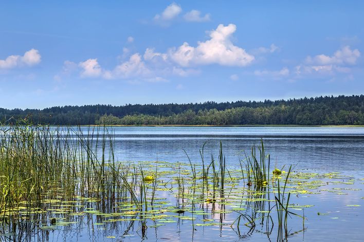 Aukstaitija Nationalpark in Litauen