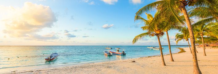 Strand von Akumal mit Palmen und hellem Sand am türkisfarbenen Meer