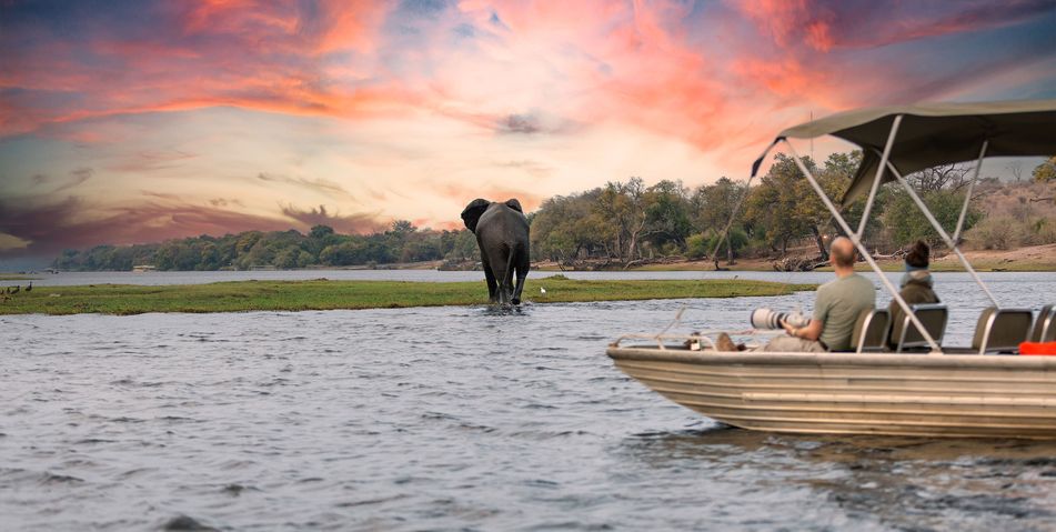 Elefanten am Flussufer bei Sonnenuntergang im Chobe-Nationalpark, Botswana