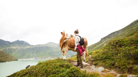 Frau und Kuh in den Bergen von Österreich