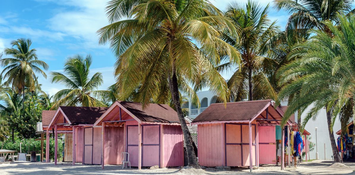 Bunte Strandhäuser mit Palmen in Saint John’s auf Antigua