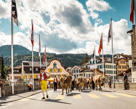 Grand Tour von St. Gallen bis Bern in 4-Sterne-Hotels-0