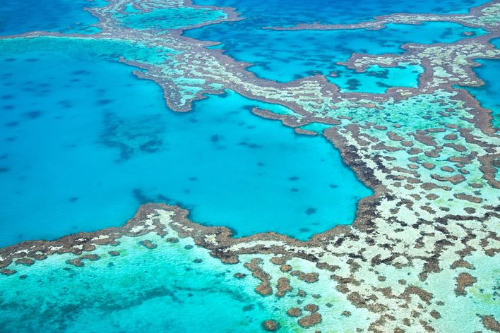 Luftaufnahme vom Great Barrier Reef in Australien