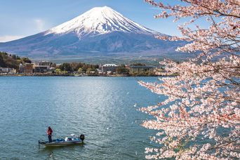 Mount Fuji mit Kirschblüten und Boot