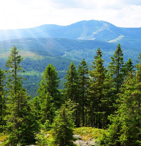 Bayerischer Wald