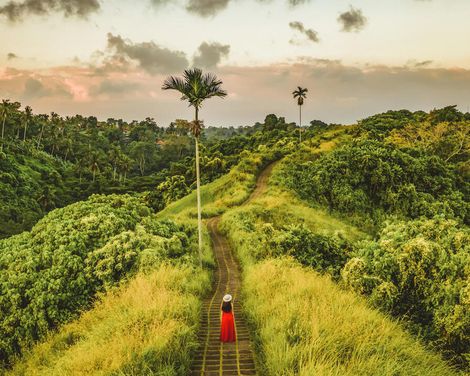 Rundreise von Jakarta bis Nusa Dua