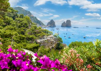 Blick über Blumen auf eine Küstenlinie mit Felsen und Meer auf Capri, Italien