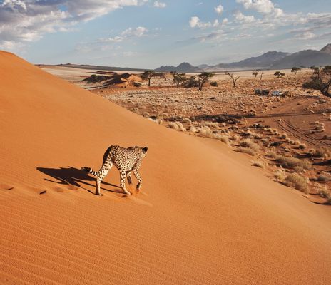Namibia, Botswana & Simbabwe