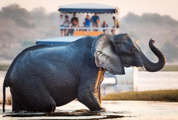 Südafrika, Botswana & Simbabwe