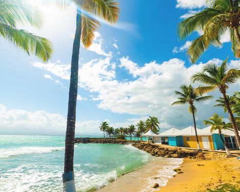 Kreuzfahrt mit MSC Virtuosa ab/an Fort-de-France