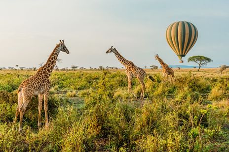 Ballonfahrt über der Savanne